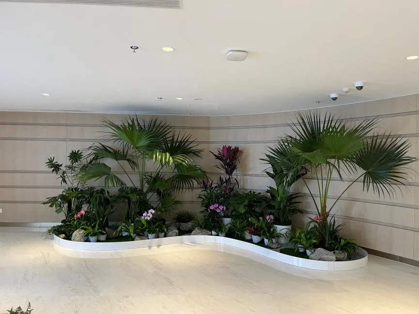 宁波镇海绿化修剪设计